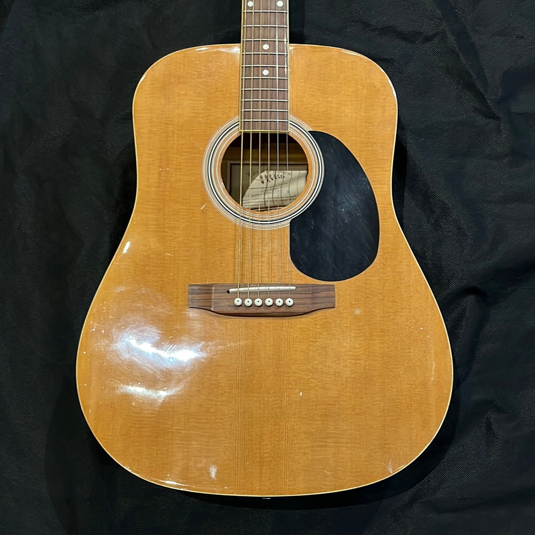 HD-3 OE Countryman Electro-Acoustic Guitar, Used - EE82B