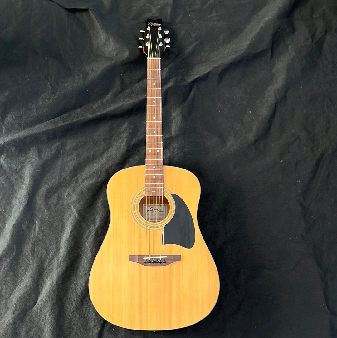 Lyon by Washburn Acoustic Guitar, Used - EE25