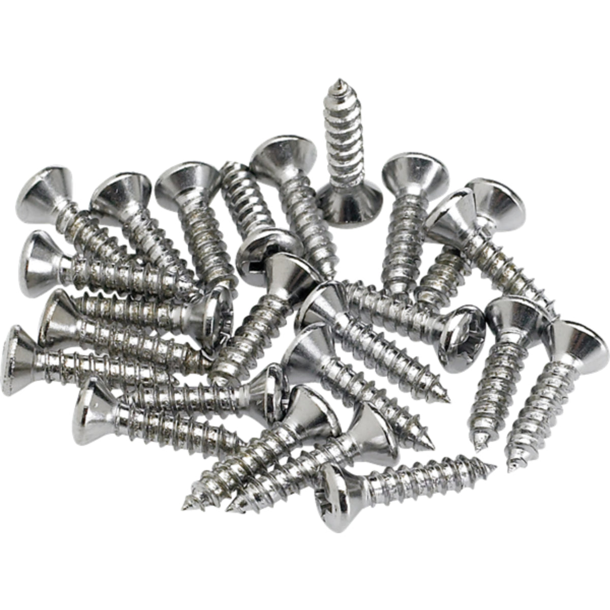 Pickguard / Control plate mounting screws (Pack of 24)