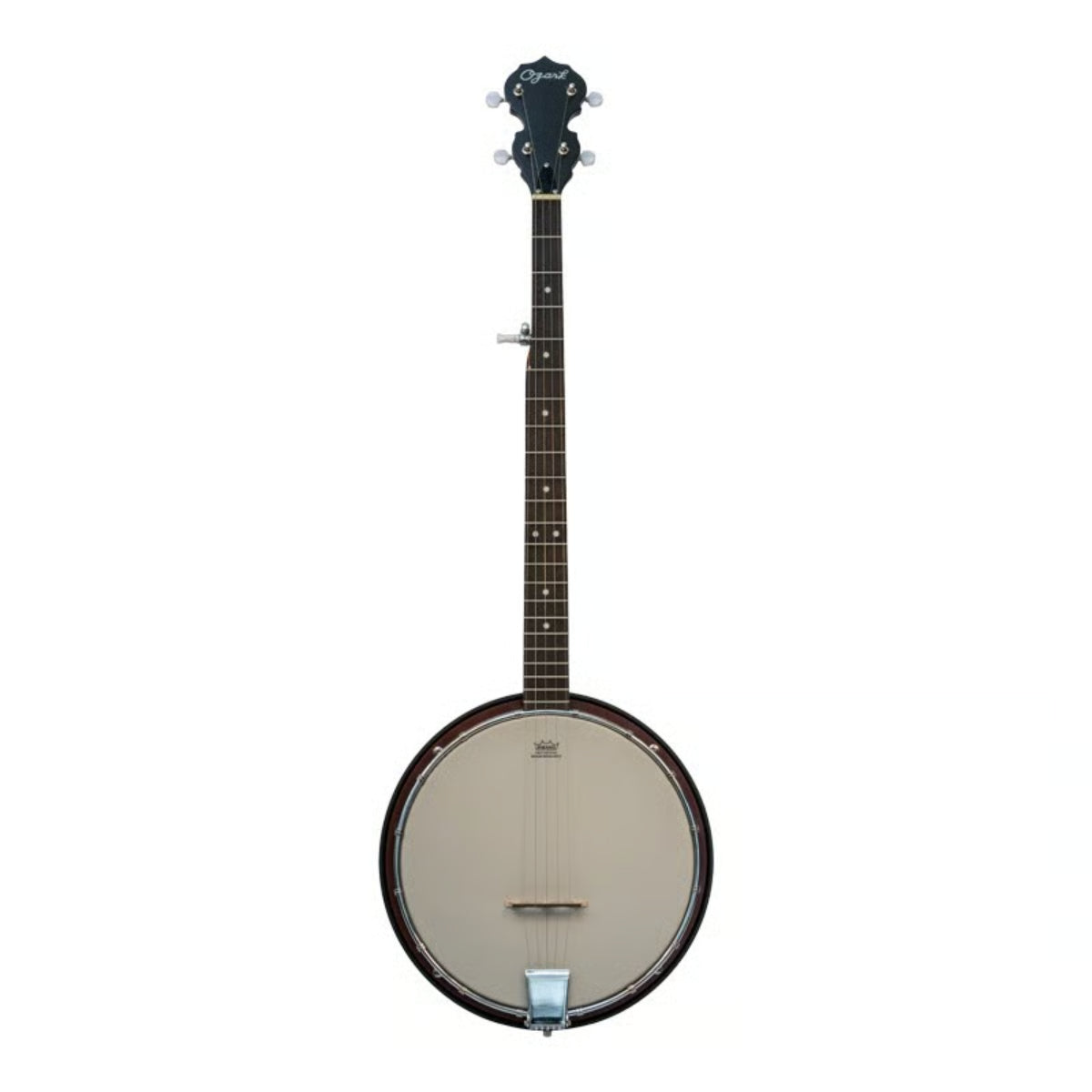5 String banjo