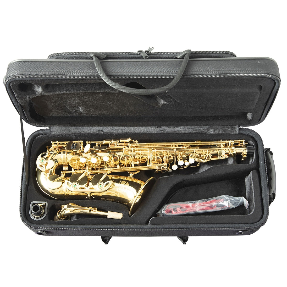 Horn Classic 2 Alto Sax, Gold Lacquered Outfit