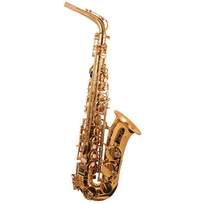 Horn Classic 2 Alto Sax, Gold Lacquered Outfit